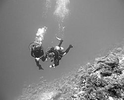Off Marsa Alam, Egyptian Red Sea. Taken with a Canon Powe... by Frank Spooner 
